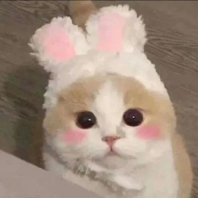 小众又高格调的动漫微信女生头像