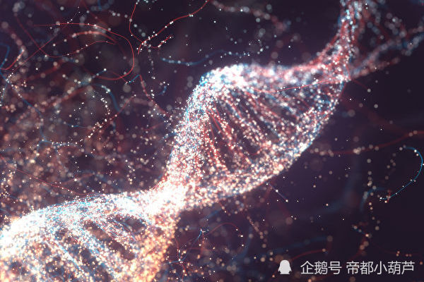 科学家通过新的显微镜技术拍摄到至今为止分辨率最高的微观基因的照片