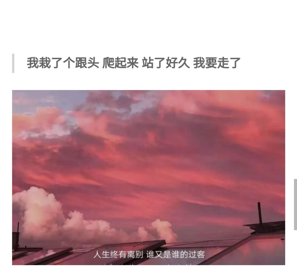 背景图|又高级又有内涵的句子
