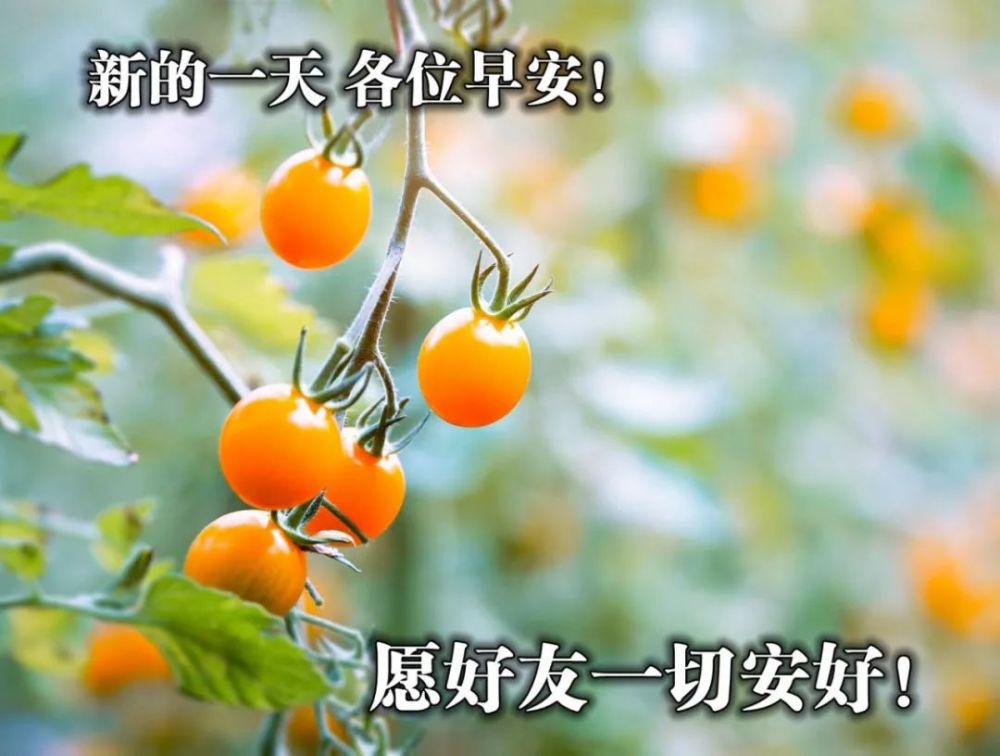 早安2021最新图片10月,早安2021最新图片清新 2021最好看的早安问候图片 送给朋友的暖心祝福图片