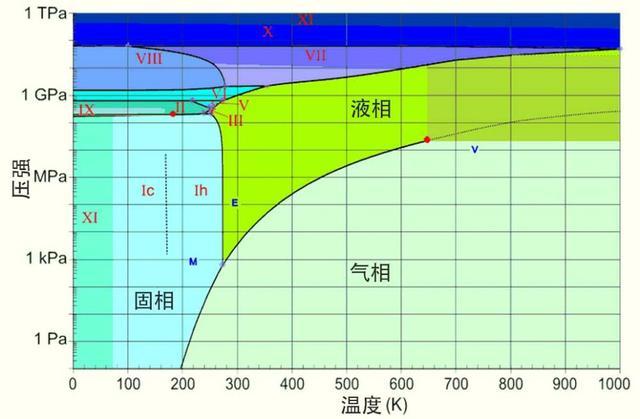 从下面这张水的相图中我们可以看出,假设人体内所含水的温度为36℃,在