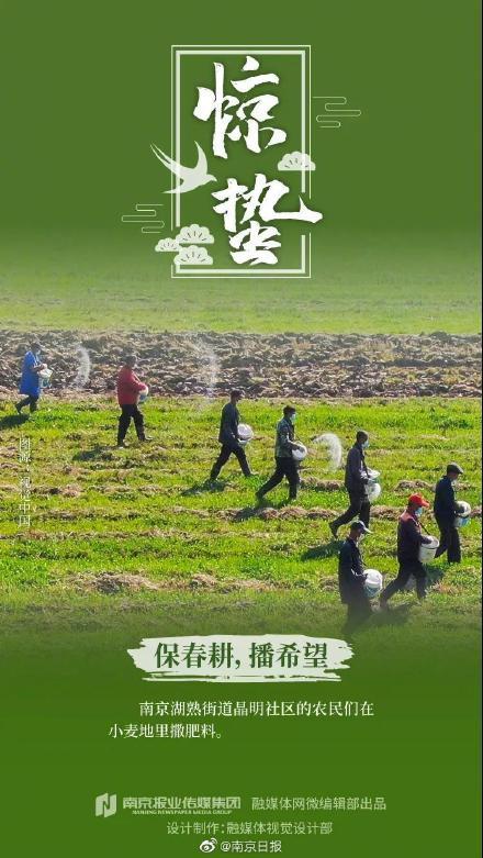 今日惊蛰万物复苏春耕忙