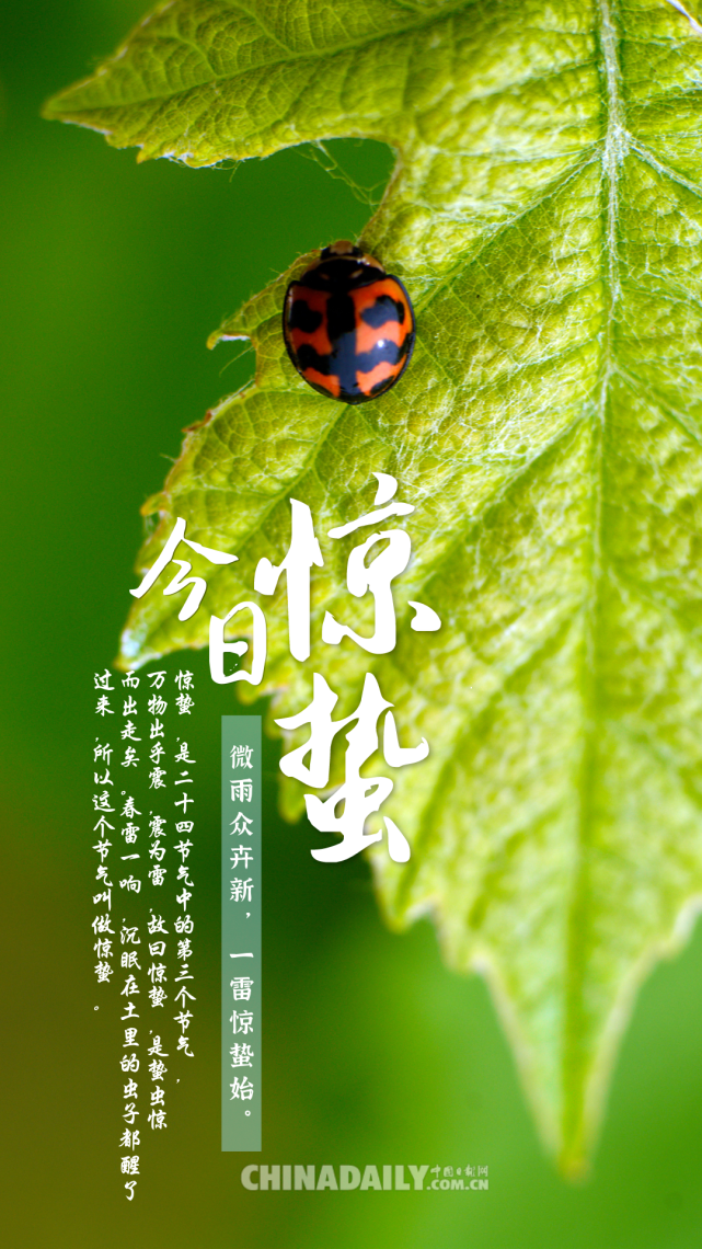 海报▏今日惊蛰,万物复苏