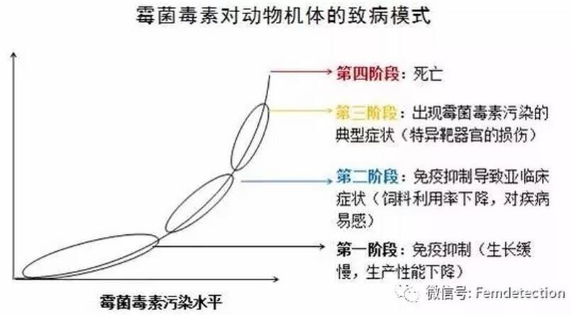 最全霉菌毒素知识简介