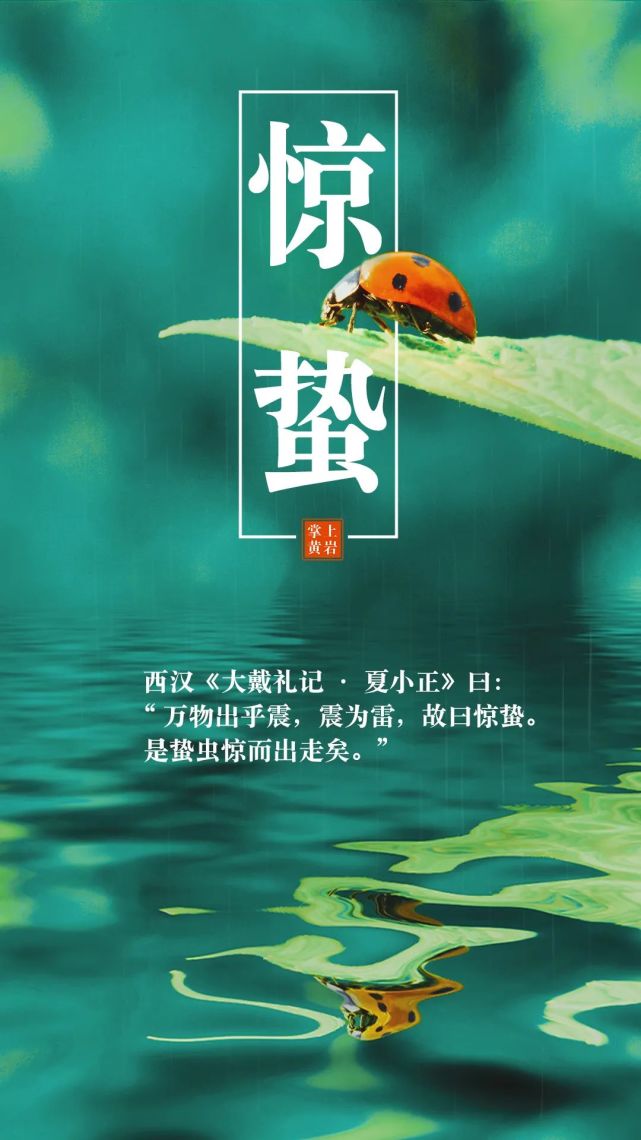今日惊蛰丨微雨众卉新,一雷惊蛰始|传媒|二十四节气|融媒体中心|黄岩