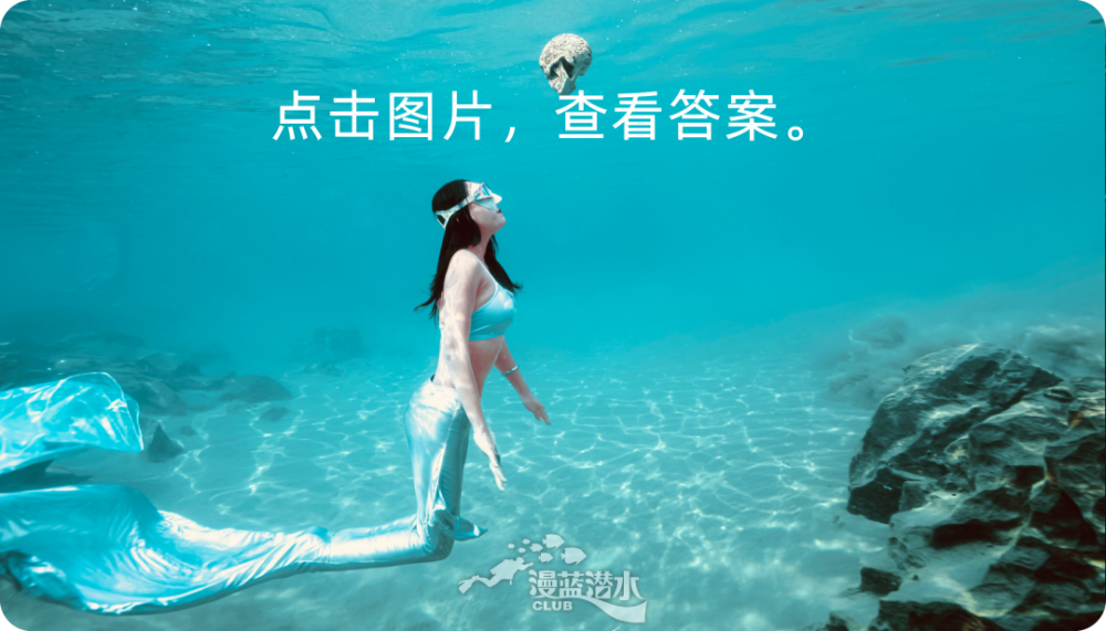 合格助手要求 要协助执行 padi 美人鱼系列课程,你必须具备 padi