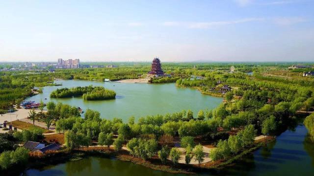 邳州gdp 2021_邳州苔干(3)