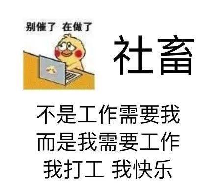 员工:会计最抠了,预算永远只少不多.