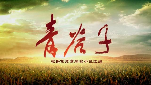 电影《青谷子》:美女知青教师,一盏孤灯,照亮全村