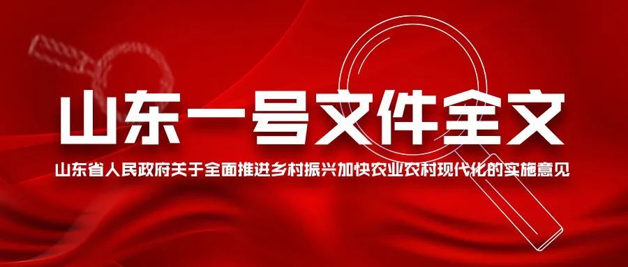 国务院关于全面推进乡村振兴加快农业农村现代化的意见(中发〔2021