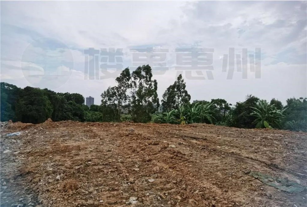 博罗县石湾2020gdp_博罗县石湾北路165号(3)