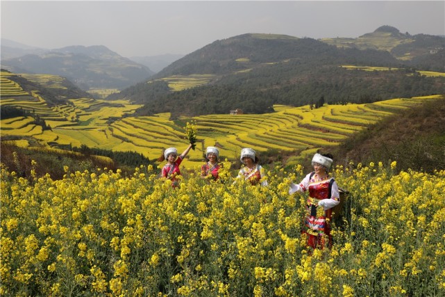 罗平油菜花海,一大批中央和省,市级媒体为你奔赴而来