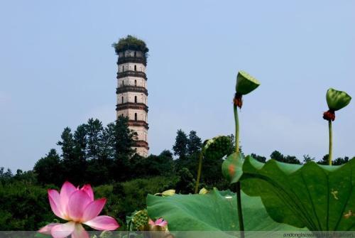 樟树市十大旅游景点,你略知一二?