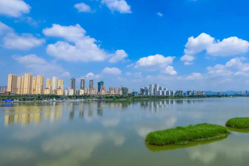 汉中2020各县gdp_汉中油菜花图片(2)