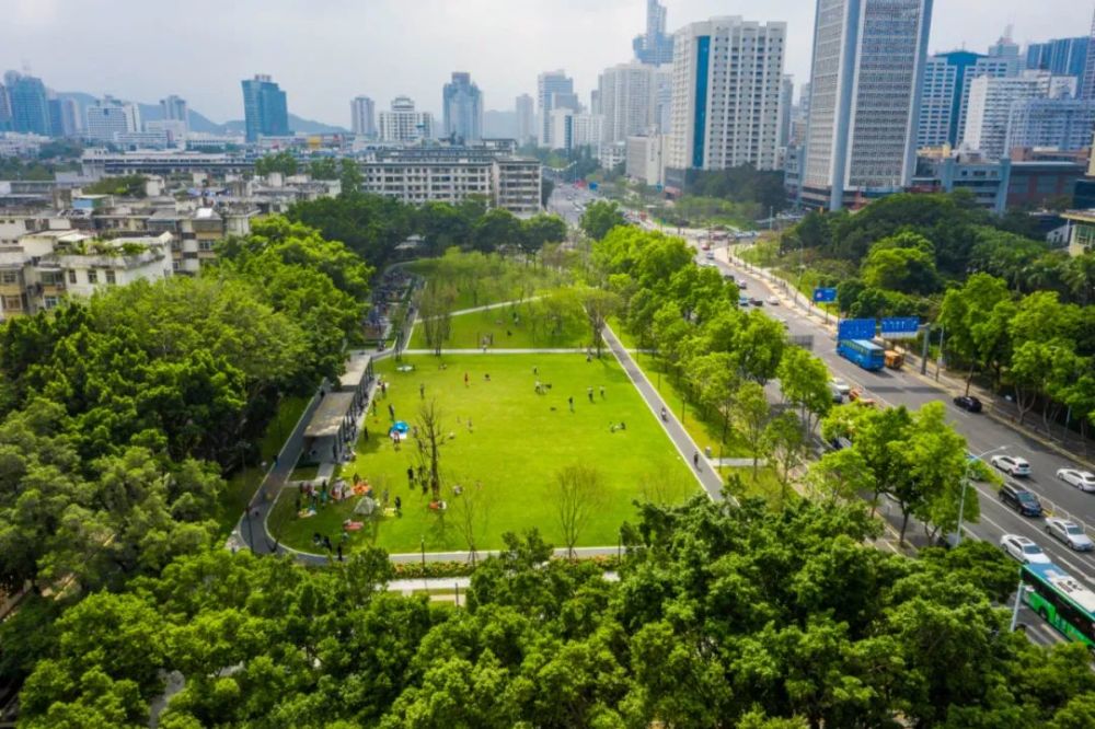 深圳公园排名_深圳湾公园(3)