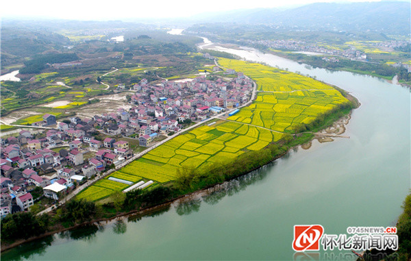 麻阳所住村油菜花海醉田野