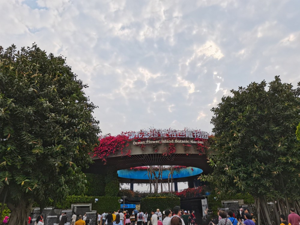 海花岛内有很多游览项目,如:童话世界,海洋乐园,植物奇珍馆,珍奇特色