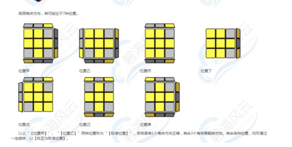 学会魔方后学啥,助您一次看清5大选择!