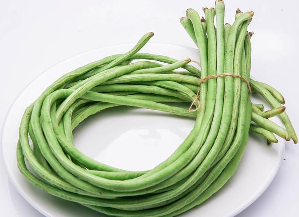 四季豆和豇豆 腾讯网
