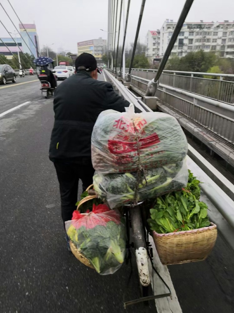 信阳街头:80岁的大爷推着自行车卖菜,曾参加过对越自卫反击战