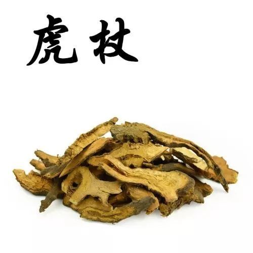 这草药,既可治肺炎,又可治胆囊炎,还可治手足麻木肿痛