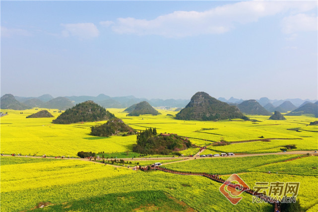 风景优美,是油菜花旅游节期间来罗平游客必游的一个景点