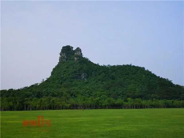 从9日起,马鹿山公园大草坪封闭养护,何时才能再游玩?