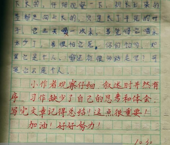 乡村女教师批改作文走红字体堪比书法家家长看了钦佩不已