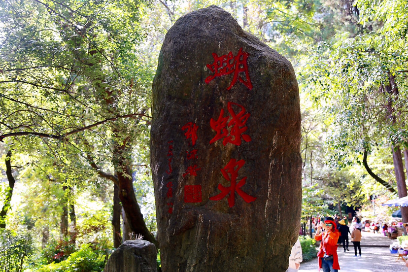 大理三月好风光蝴蝶泉边再相聚我的第二次大理蝴蝶泉之旅