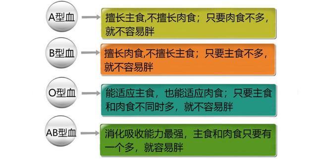 B型血人口数_人口普查