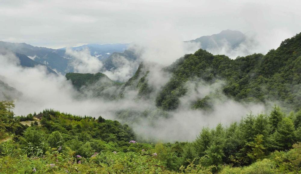 福建经济总量为什么上不去_福建经济频道