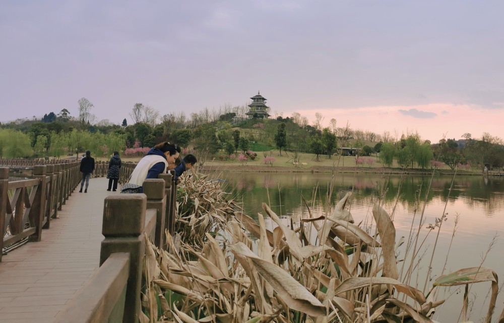 研溪湿地公园风光好周末出游好去处
