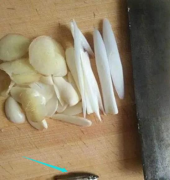 成语为什么什么鱼_成语故事简笔画(3)