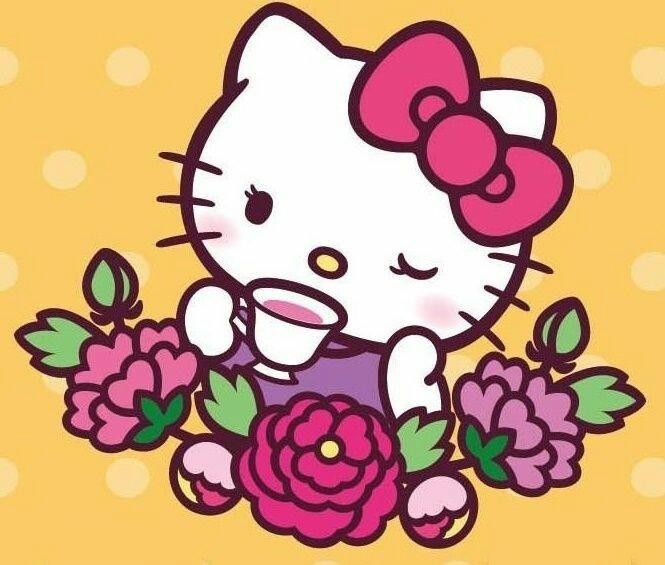 真人版有翻身机会:拍恐怖片令人比较惊讶的是,《hellokitty》系列在