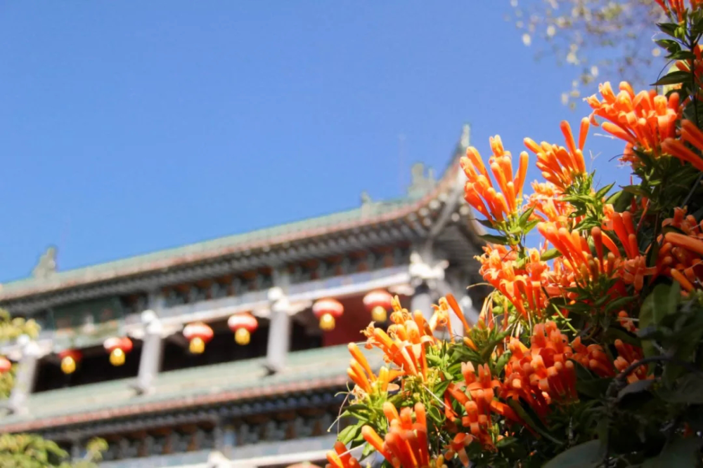 2020全国百强县gdp_2019全国百强县排名