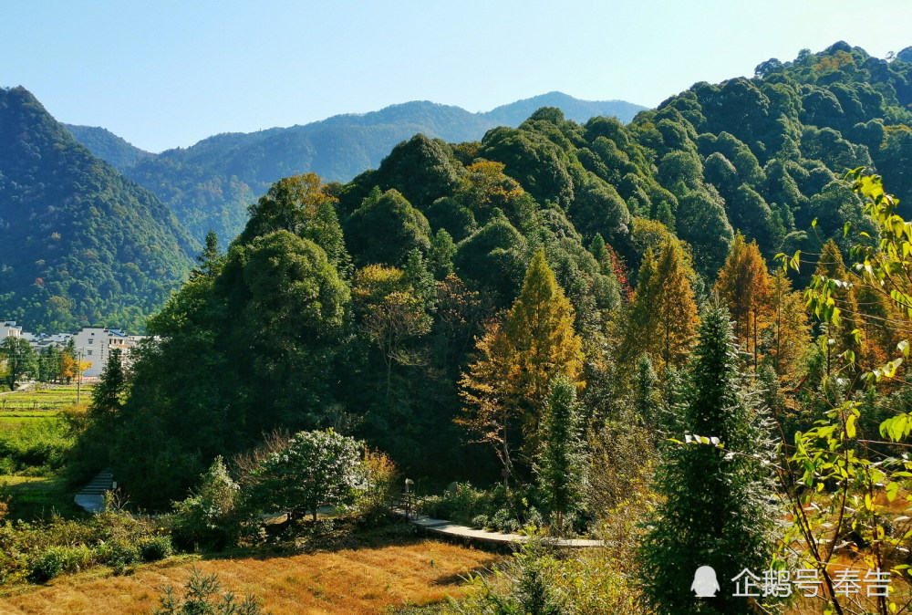 黟县打鼓岭处处皆景步步称奇阳光清风山色丽影能不令人心旷神怡