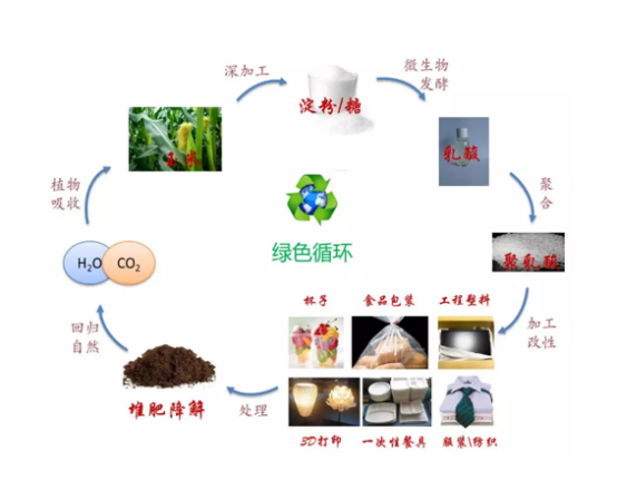 生物降解塑料是指一类由自然界存在的微生物如细菌,霉菌(真菌)和藻类