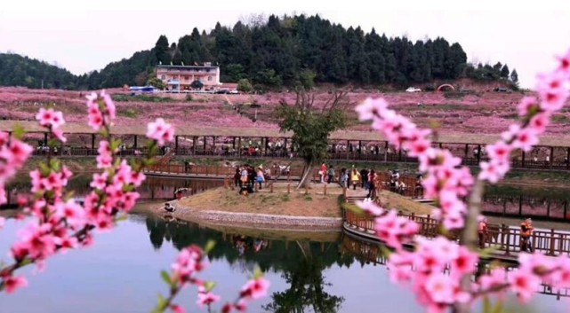 四川南充:这样详尽的赏花攻略快来get
