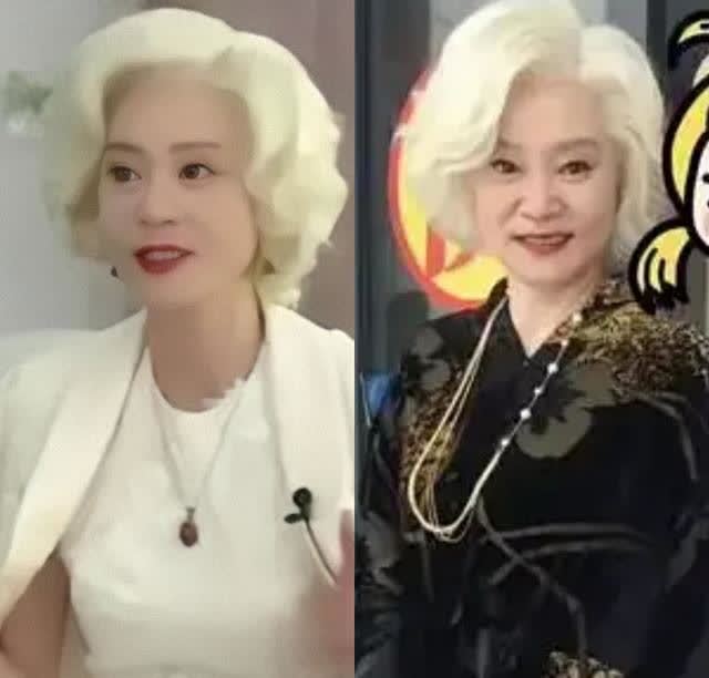 山口百惠刘雪华老年真会挑发型,卷发衬脸小,白发还能妩媚,厉害
