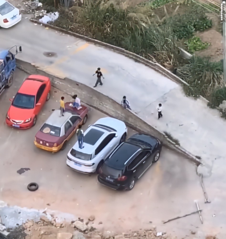 踩汽车，一种独特的安全意识与驾驶文化探索，探索独特的安全意识，踩汽车与驾驶文化的深度解析