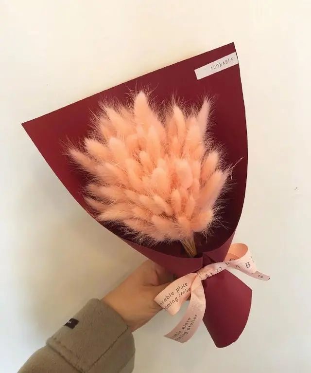 朋友圈高雅很有内涵的情感文案