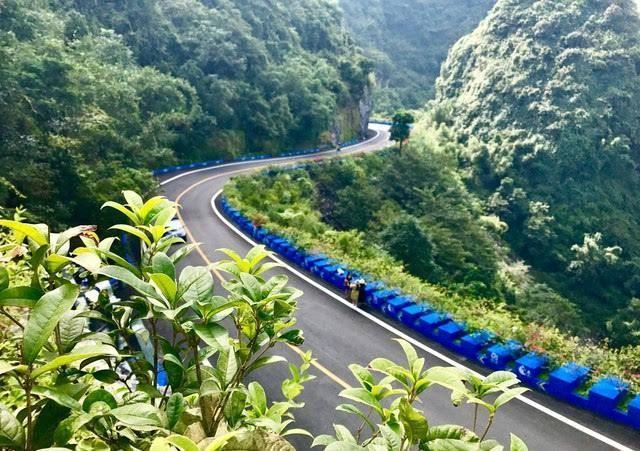 马山的人口_马山弄拉景区图片