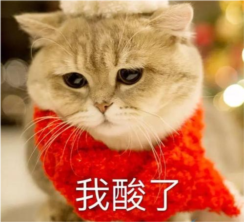 可爱表情包我酸了