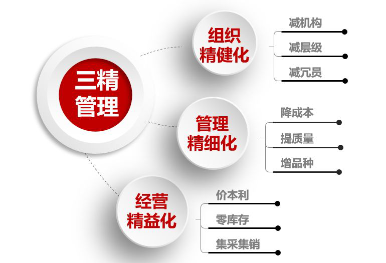 中国建材集团从2018年开始着力推"三精"管理,核心内容是组织精健化