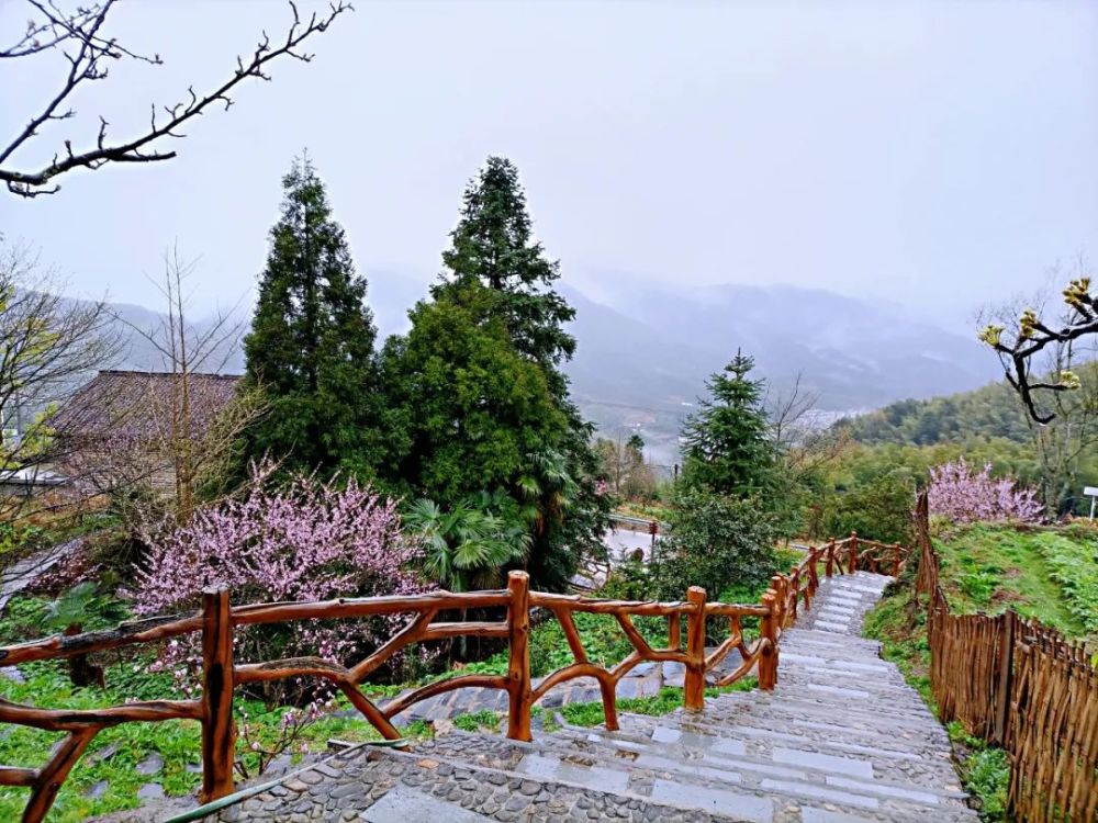 永丰上溪:邀您赏十里桃花,品高山民宿,寻梦桃花源,赴浪漫之约