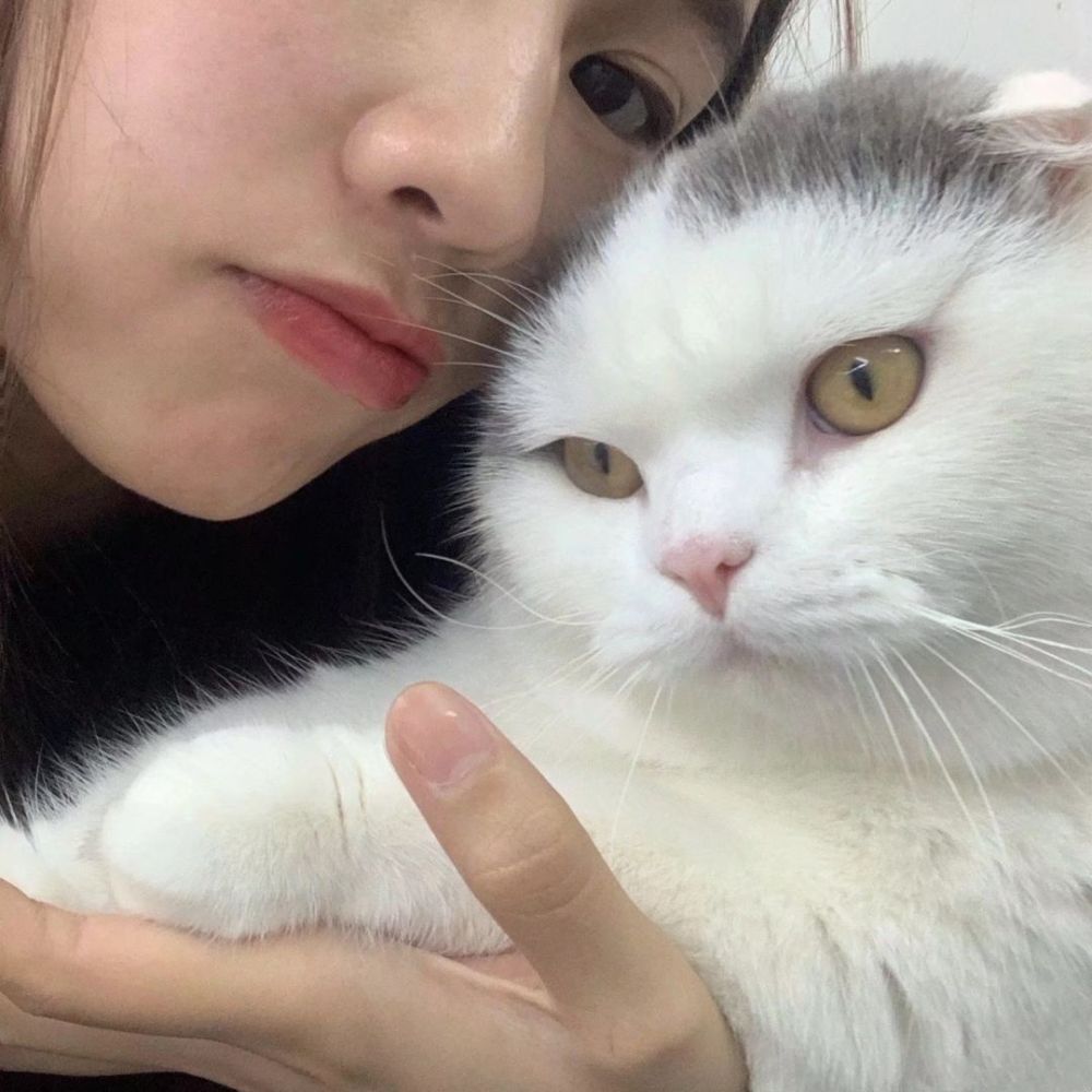 抱着猫猫的女生头像