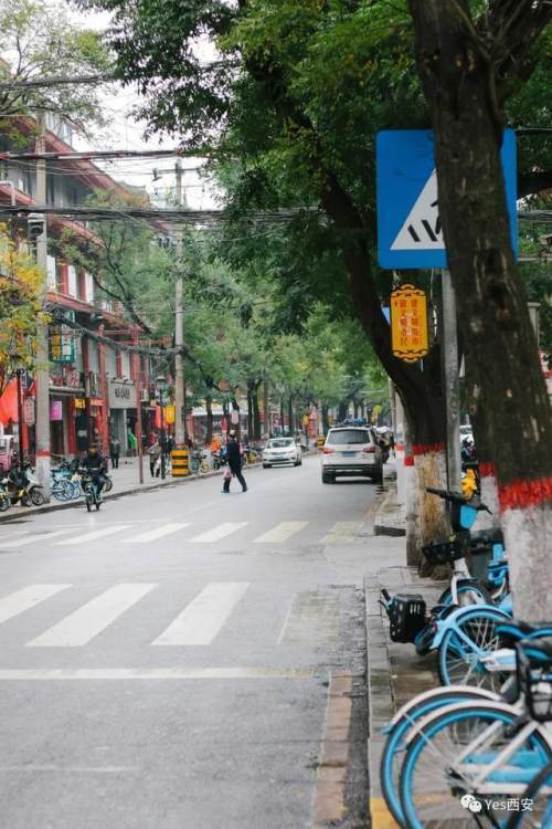 咸阳市多少人口_咸阳市地图(3)