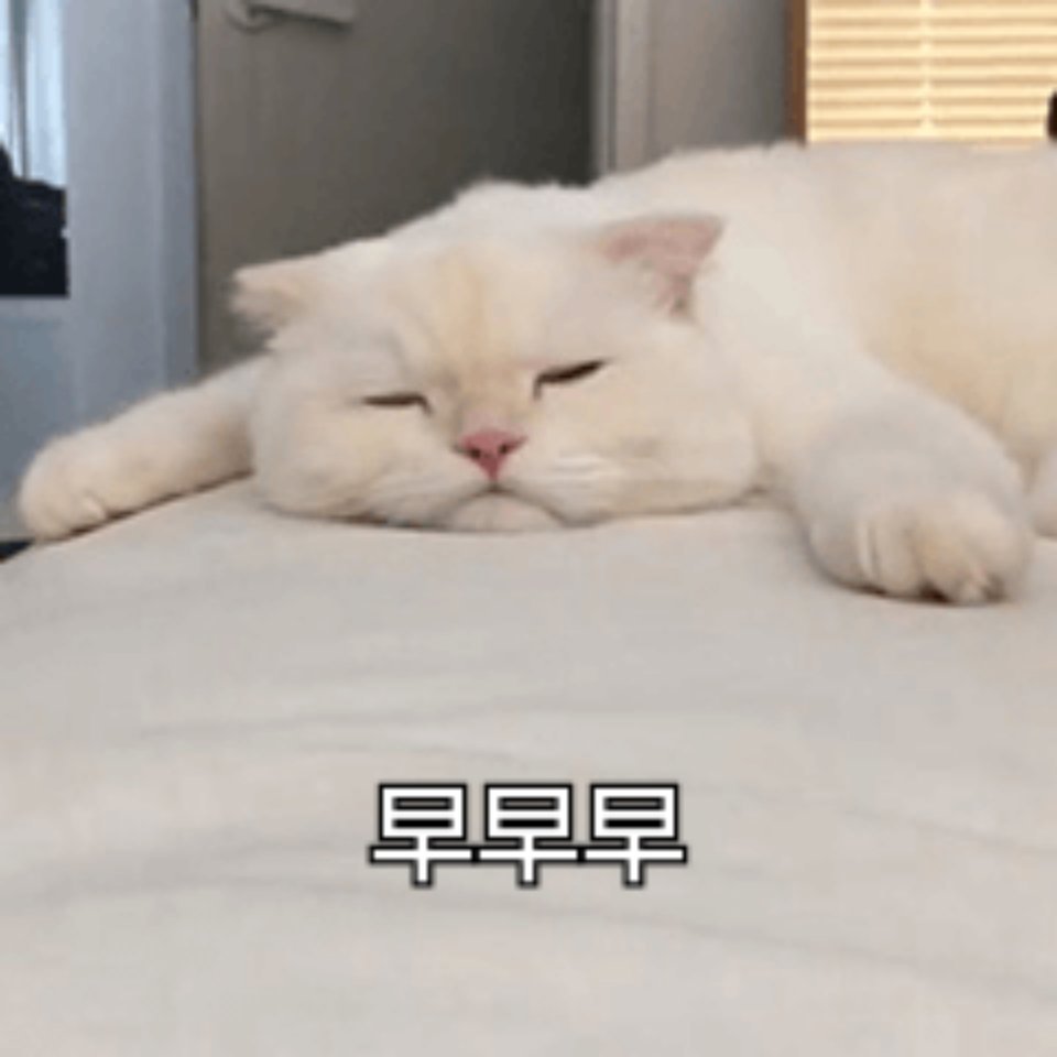 萌宠表情包:早上好鸭!爱你哦!