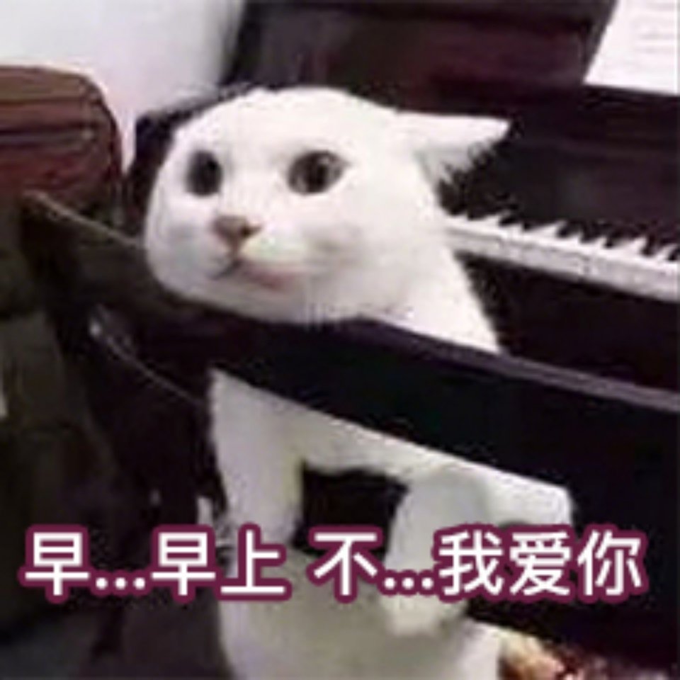萌宠表情包:早上好鸭!爱你哦!
