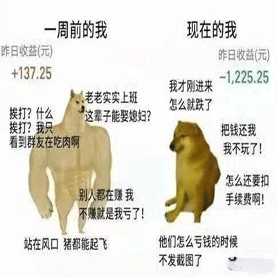 当代年轻人买基金现状表情包,送给在座的基金人